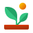 阳光下的植物 icon