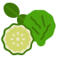 Bergamot icon