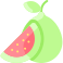 Guava icon