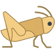 Locust icon