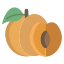 Apricot icon