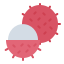 Rambutan icon