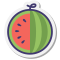 Cutted Watermelon icon