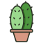 Cactus icon