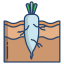 Carrot icon