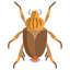 Beetle icon