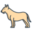 Bull Terrier icon