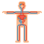 Circulatory System icon