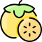 Persimmon icon