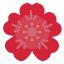 Geranium icon