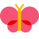 butterfly icon