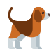 dog icon