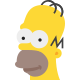 homer simpson icon