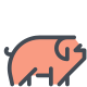 pig icon