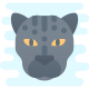 black jaguar icon