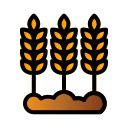 external agriculture-agricultur-creatype-filed-outline-colourcreatype-12 icon