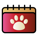 external appointment-veterinary-and-pet-creatype-filed-outline-colourcreatype icon