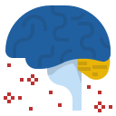 external brain-health-ddara-flat-ddara icon