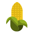 external corn-garden-and-farm-ddara-flat-ddara icon