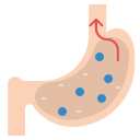 external stomach-medical-ddara-flat-ddara icon