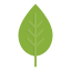 external ecology-spring-flat-amoghdesign icon