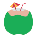 external coconut-drink-and-beverage-flat-flat-andi-nur-abdillah icon