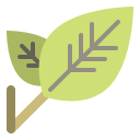 external ecology-ecology-flat-flat-satawat-anukul-8 icon