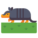 external armadillo-in-the-wild-flaticons-flat-flat-icons icon