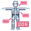 external bone-anatomy-flaticons-flat-flat-icons icon