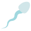 external Sperm-biology-hidoc-kerismaker-2 icon