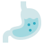 external Stomach-biology-hidoc-kerismaker icon