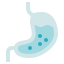 external Stomach-organ-anatomy-hidoc-kerismaker icon