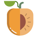 external apricot-fruits-and-vegetables-icongeek26-flat-icongeek26 icon