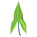 external arrow-head-leaves-icongeek26-flat-icongeek26 icon