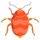 external bed-bug-bugs-and-insects-icongeek26-flat-icongeek26 icon