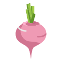 external beetroot-vegan-icongeek26-flat-icongeek26 icon