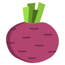 external beetroot-vegetables-icongeek26-flat-icongeek26 icon