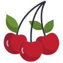 external berry-vegan-icongeek26-flat-icongeek26 icon