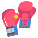 external boxing-gloves-martial-arts-icongeek26-flat-icongeek26 icon