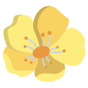 external buttercup-flower-icongeek26-flat-icongeek26 icon