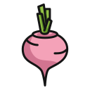 external beetroot-vegan-icongeek26-linear-colour-icongeek26 icon