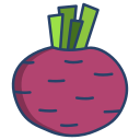 external beetroot-vegetables-icongeek26-linear-colour-icongeek26 icon