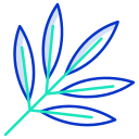 external Sage-Leaf-leaf-icongeek26-outline-colour-icongeek26 icon