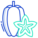 external Star-Fruit-keto-diet-icongeek26-outline-colour-icongeek26 icon