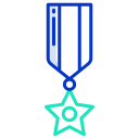 external awards-police-icongeek26-outline-colour-icongeek26 icon