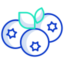 external blueberry-vegan-icongeek26-outline-colour-icongeek26 icon