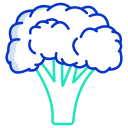 external broccoli-vegetables-icongeek26-outline-colour-icongeek26 icon