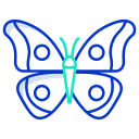 external butterfly-bugs-and-insects-icongeek26-outline-colour-icongeek26 icon