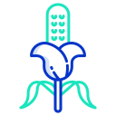 external corn-agriculture-icongeek26-outline-colour-icongeek26 icon