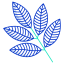 external rowan-leaves-icongeek26-outline-colour-icongeek26 icon